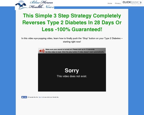 Type-2-Diabetes-Strategy-sl-cb-Blue-Heron-Health.jpg